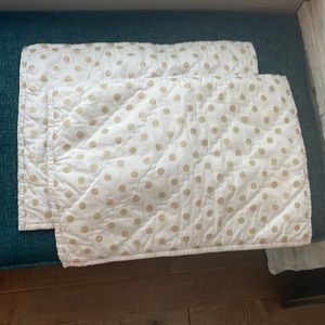 Pottery Barn Pillow Cases